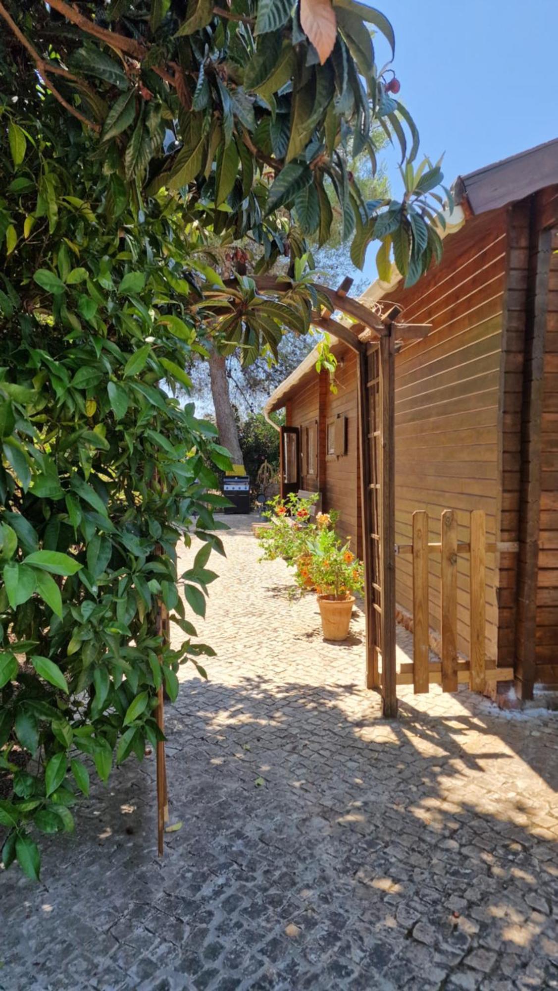 Chalet Villa Mosquito Silves Exterior photo