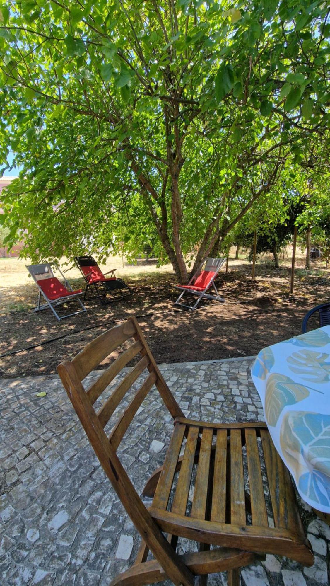 Chalet Villa Mosquito Silves Exterior photo