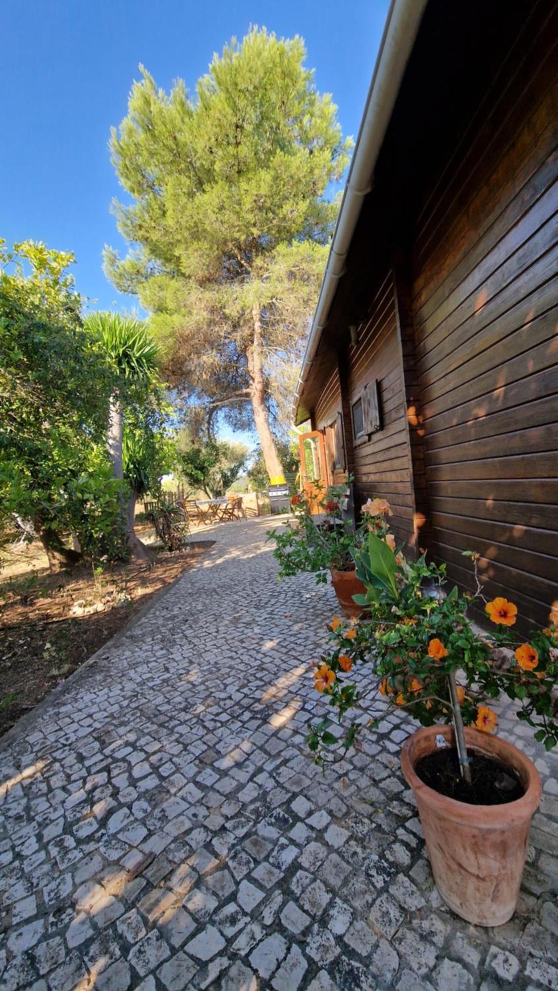 Chalet Villa Mosquito Silves Exterior photo