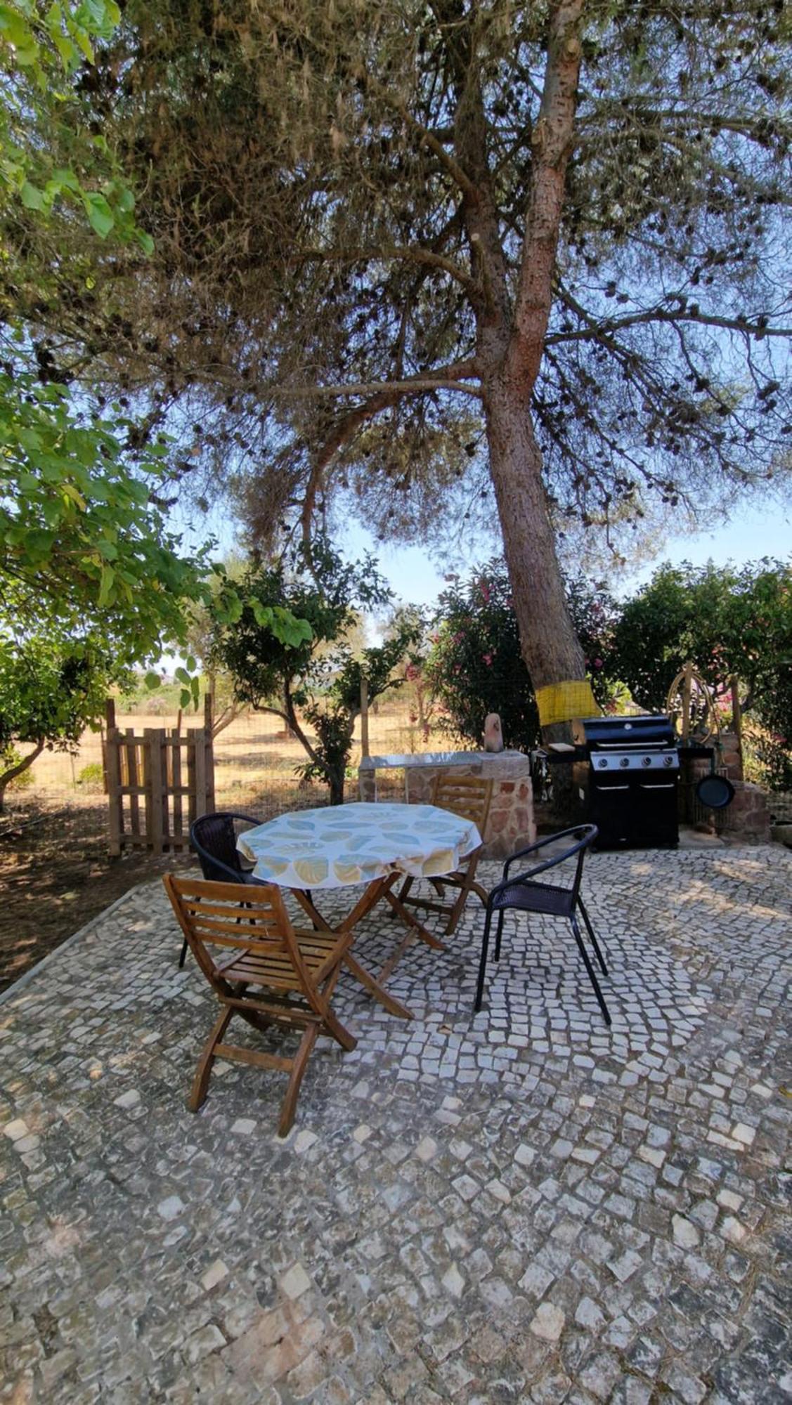 Chalet Villa Mosquito Silves Exterior photo