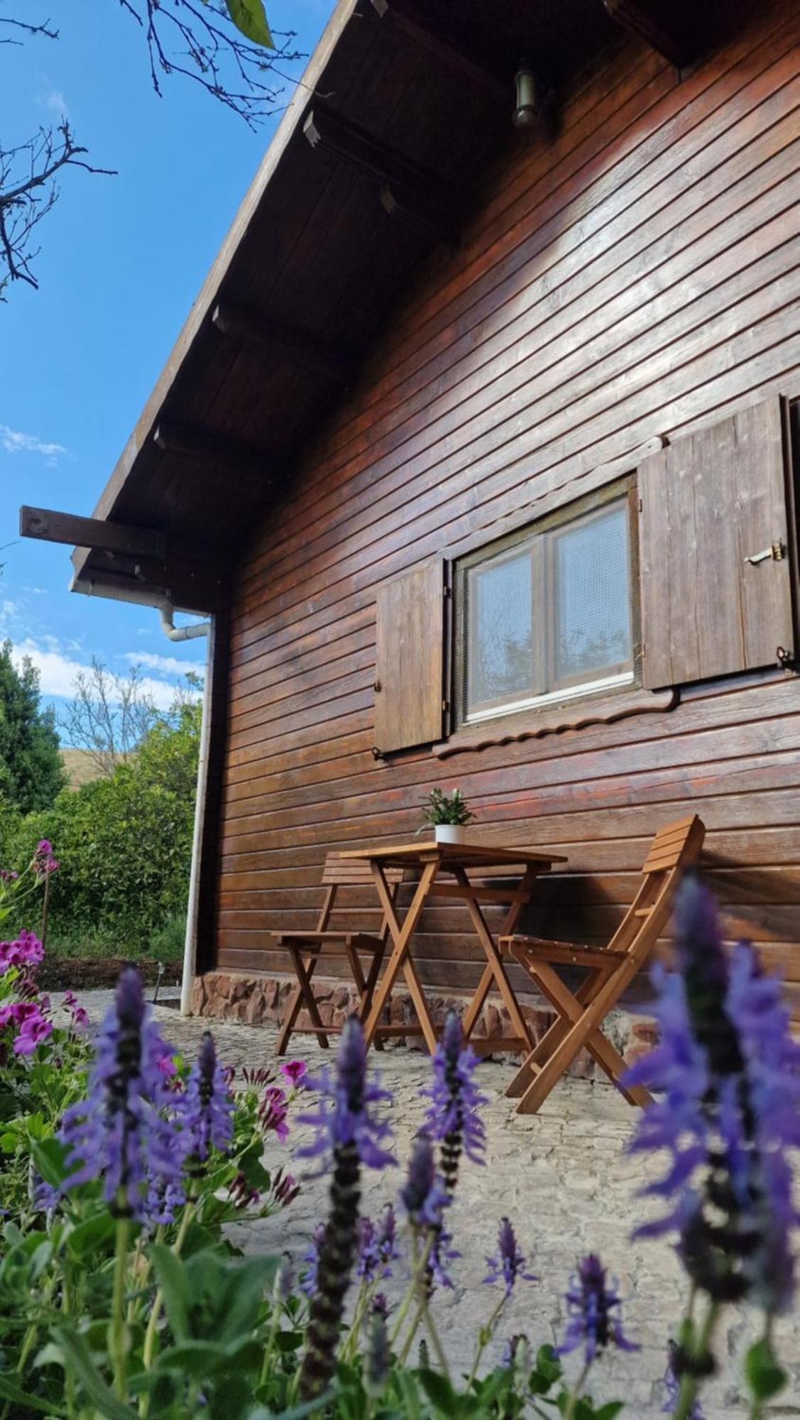 Chalet Villa Mosquito Silves Exterior photo